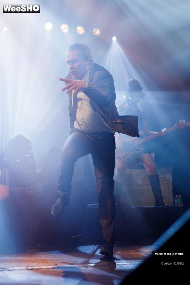 33/41 photos du spectacle Marcel et son orchestre