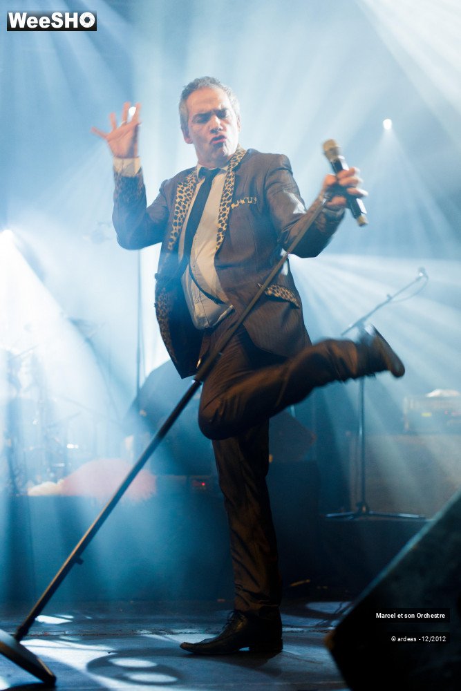 36/41 photos du spectacle Marcel et son orchestre