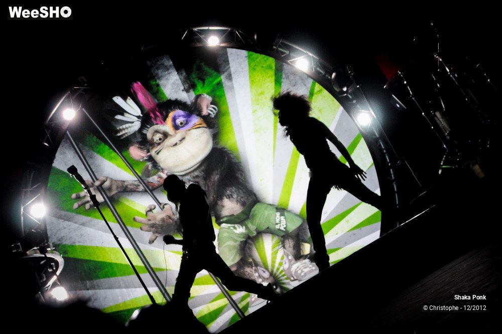 5/51 photos du spectacle Shaka Ponk