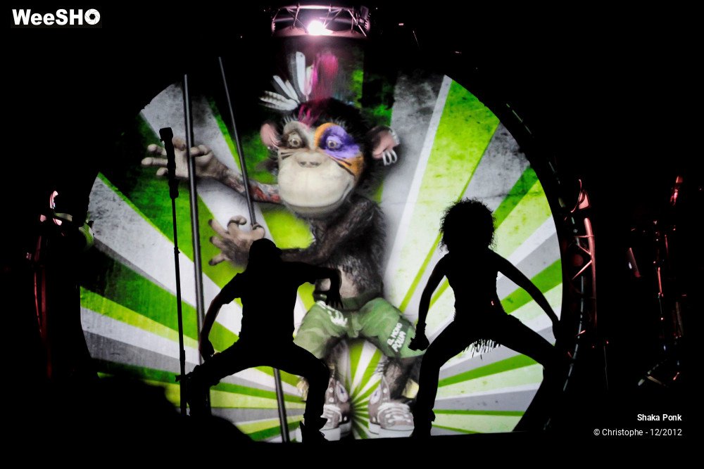 7/51 photos du spectacle Shaka Ponk