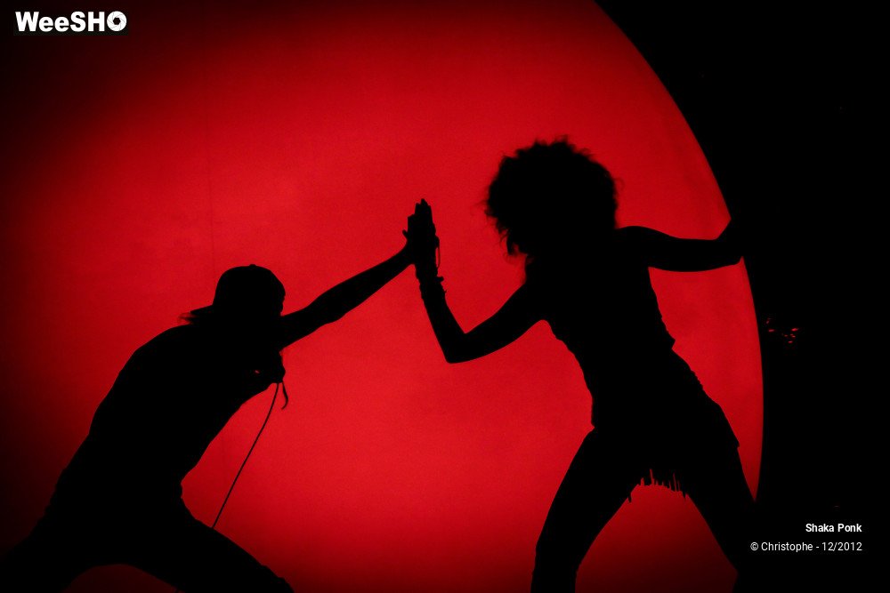 14/51 photos du spectacle Shaka Ponk