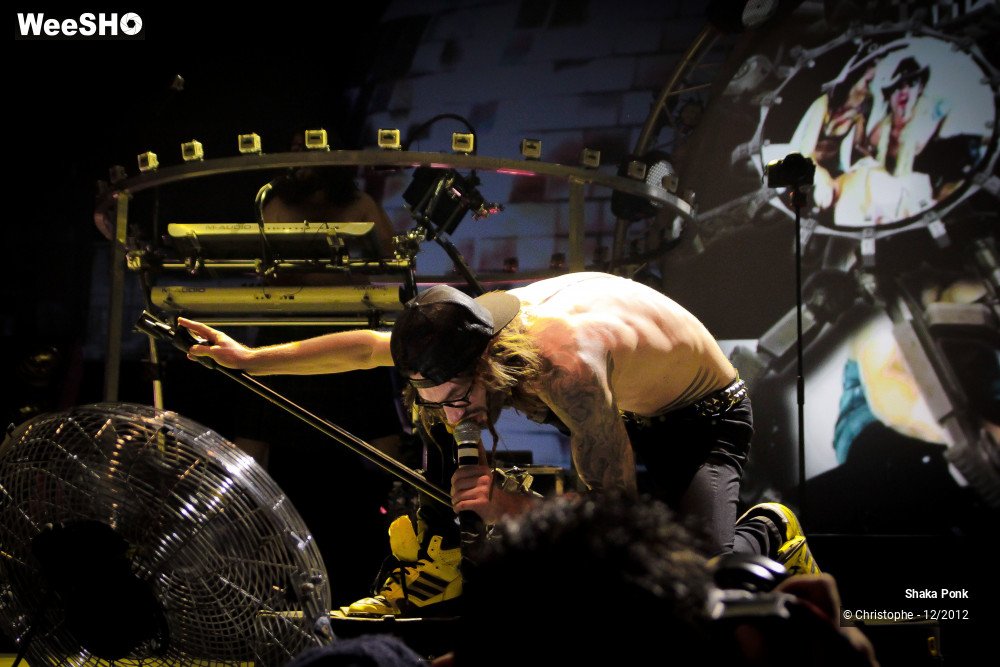 18/51 photos du spectacle Shaka Ponk