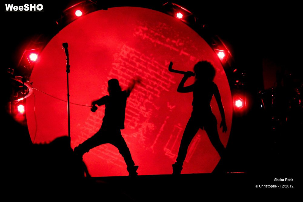 19/51 photos du spectacle Shaka Ponk