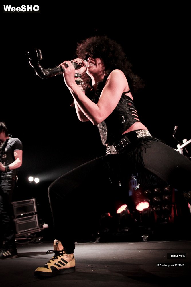 21/51 photos du spectacle Shaka Ponk