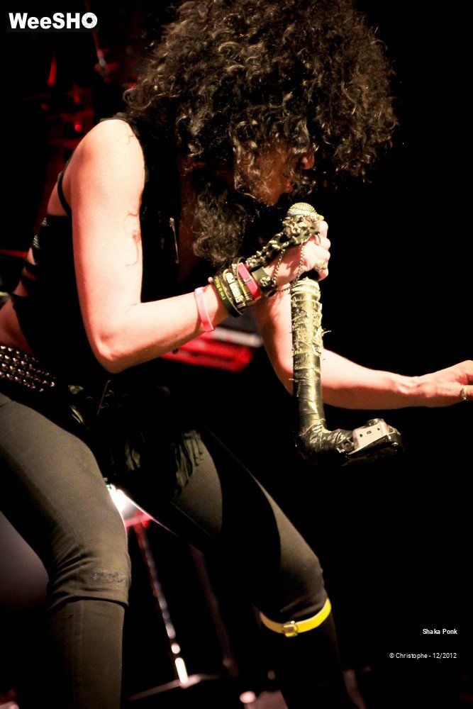 24/51 photos du spectacle Shaka Ponk