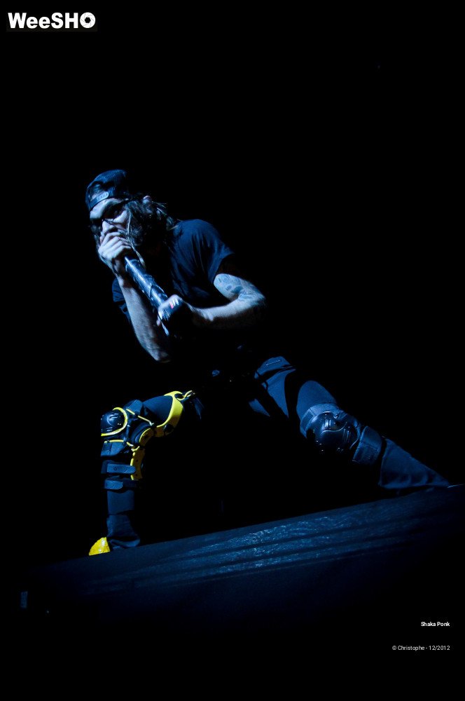 27/51 photos du spectacle Shaka Ponk