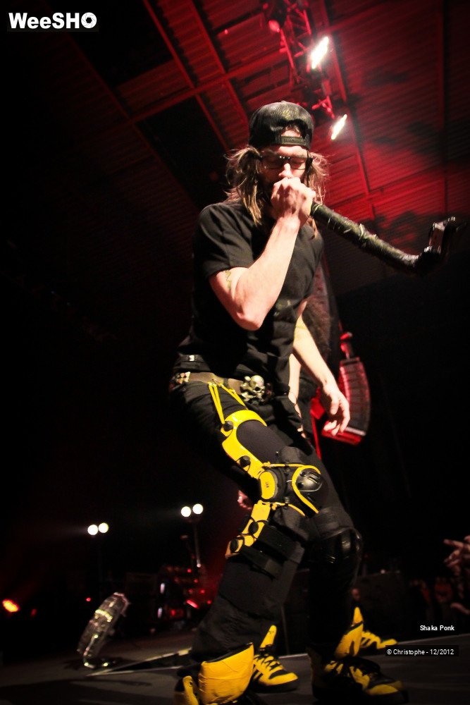 28/51 photos du spectacle Shaka Ponk