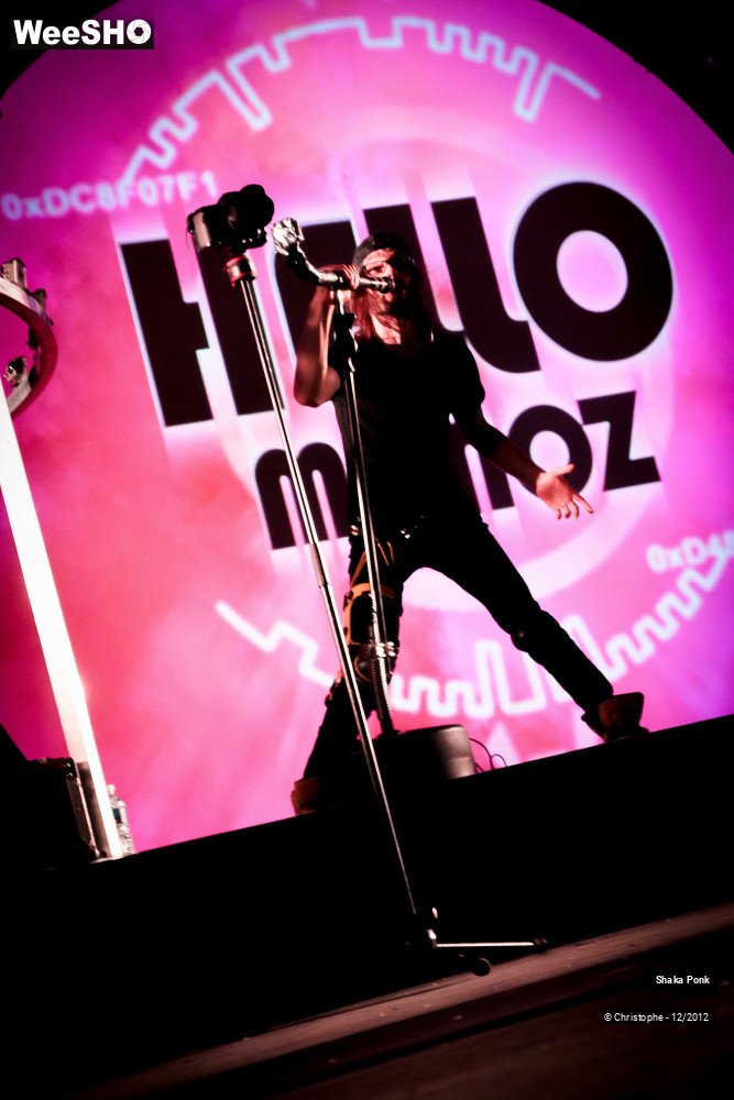 30/51 photos du spectacle Shaka Ponk