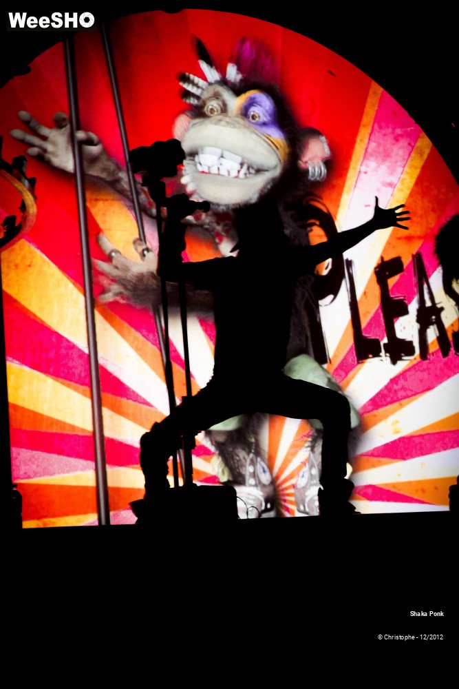 31/51 photos du spectacle Shaka Ponk