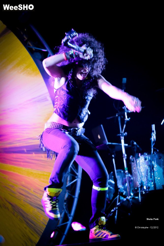 32/51 photos du spectacle Shaka Ponk