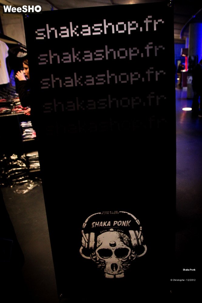 33/51 photos du spectacle Shaka Ponk