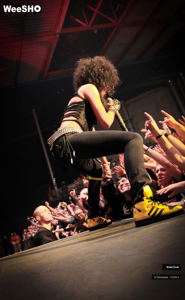 36/51 photos du spectacle Shaka Ponk