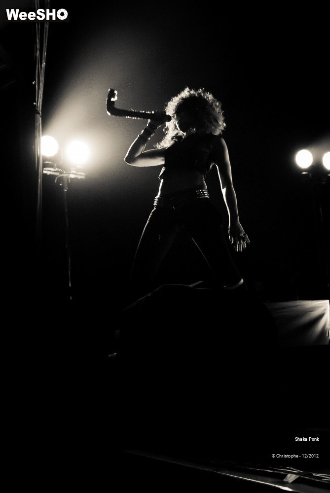 40/51 photos du spectacle Shaka Ponk