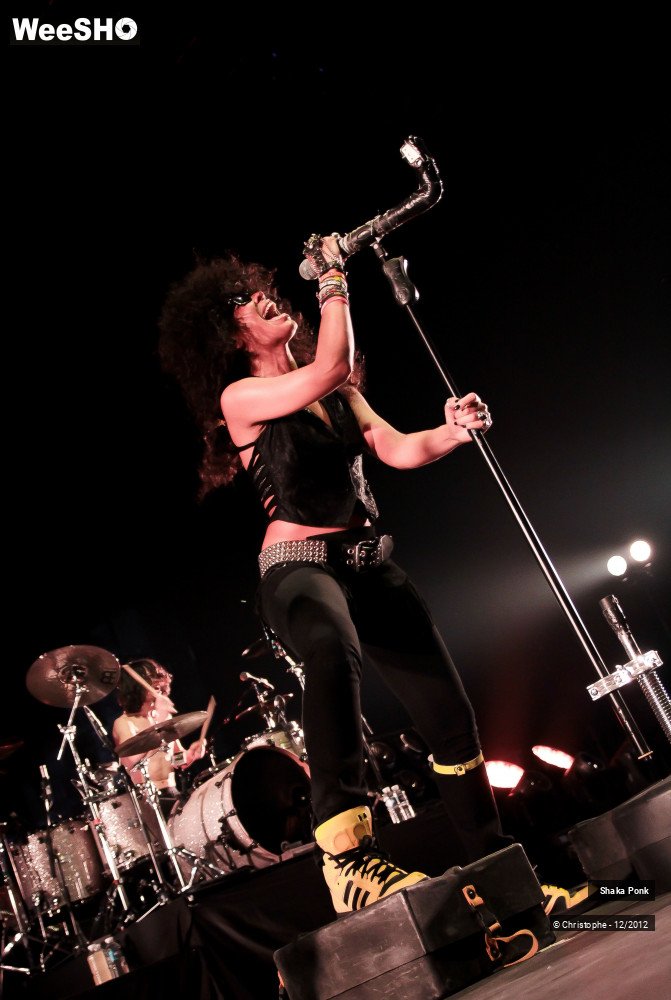 41/51 photos du spectacle Shaka Ponk