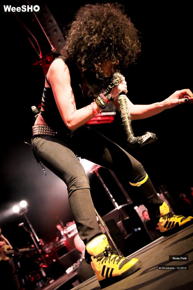 45/51 photos du spectacle Shaka Ponk