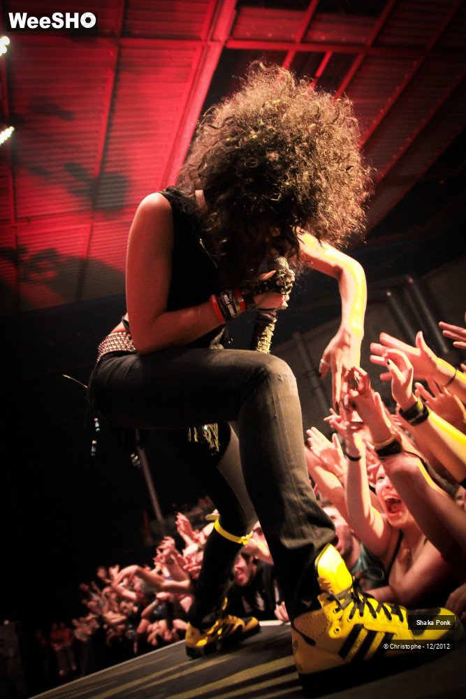 46/51 photos du spectacle Shaka Ponk