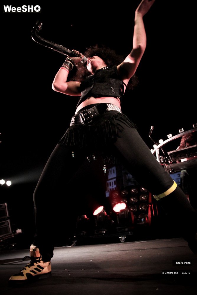 47/51 photos du spectacle Shaka Ponk