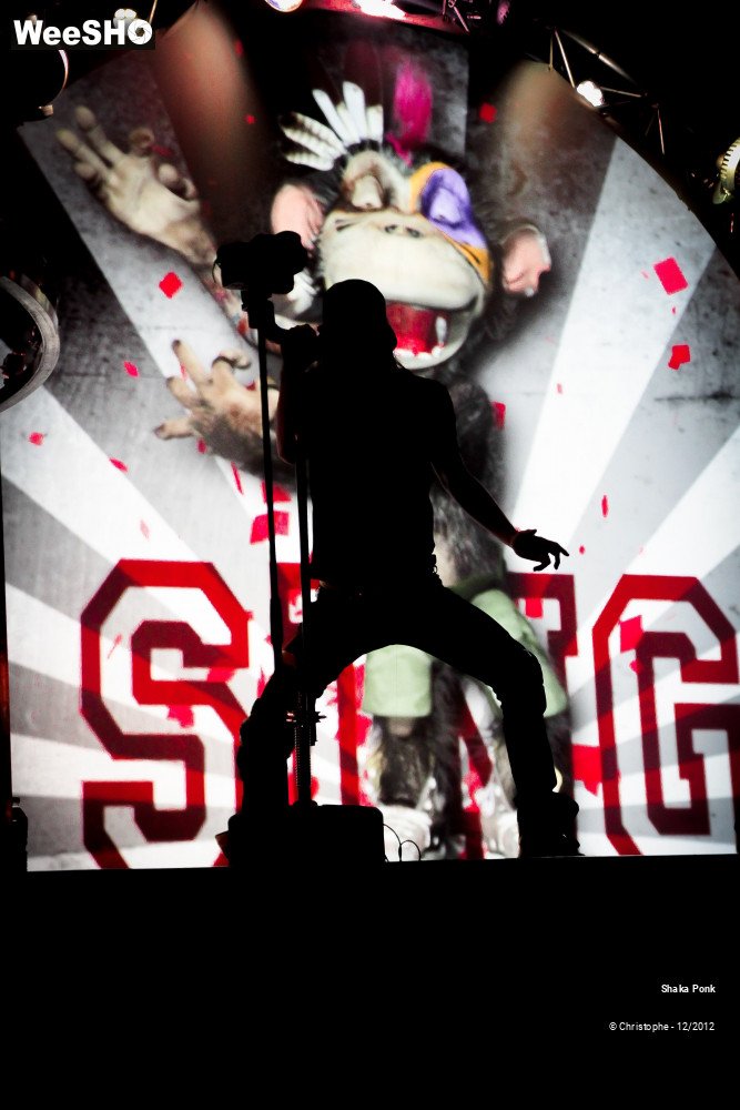 49/51 photos du spectacle Shaka Ponk