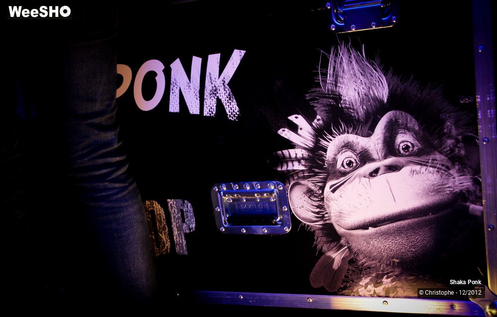 51/51 photos du spectacle Shaka Ponk