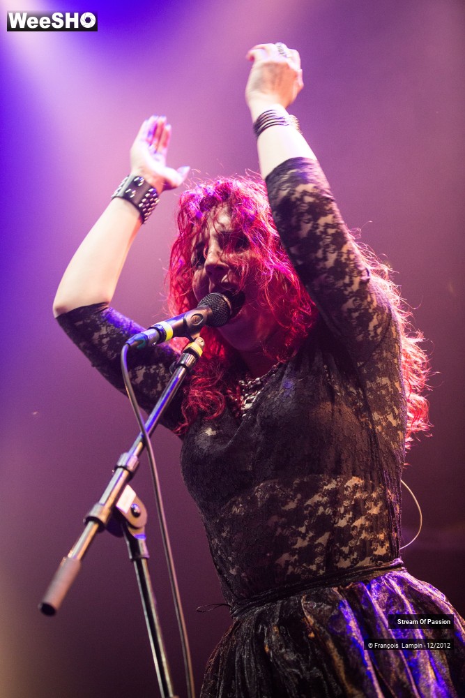 13/28 photos du spectacle Stream Of Passion