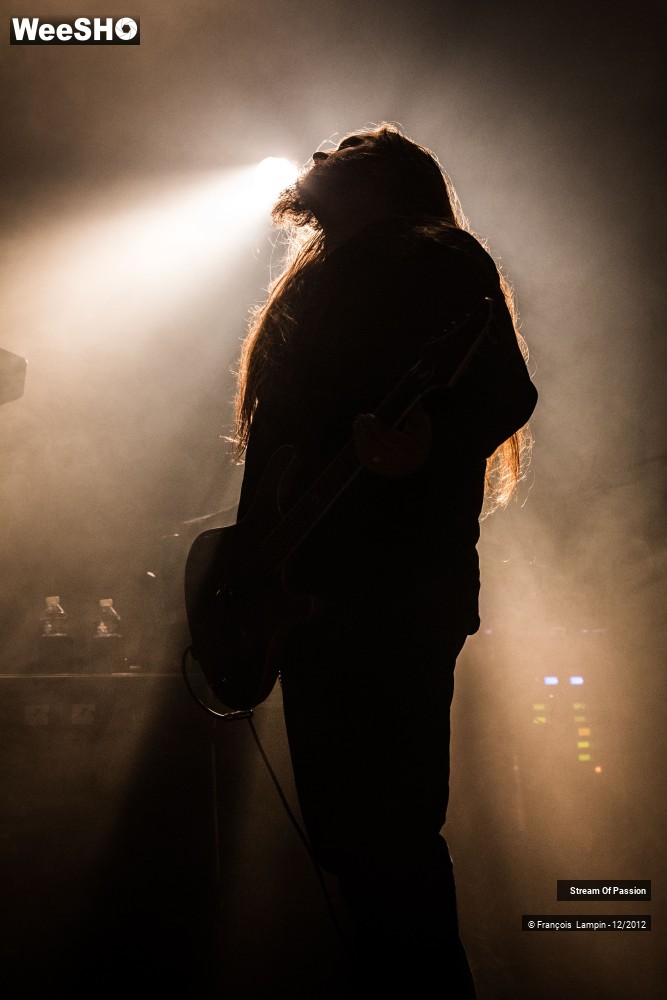 17/28 photos du spectacle Stream Of Passion