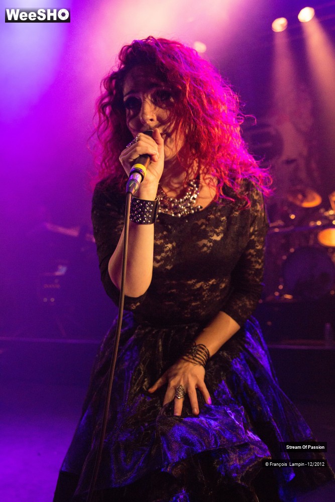 20/28 photos du spectacle Stream Of Passion