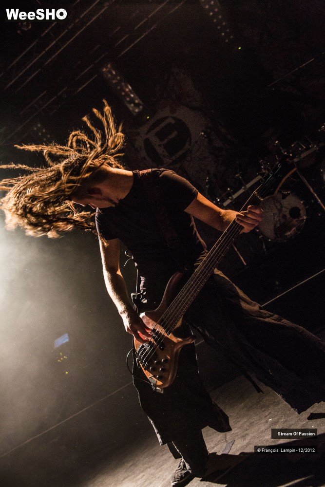 22/28 photos du spectacle Stream Of Passion