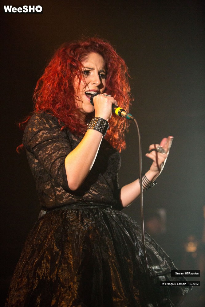 23/28 photos du spectacle Stream Of Passion