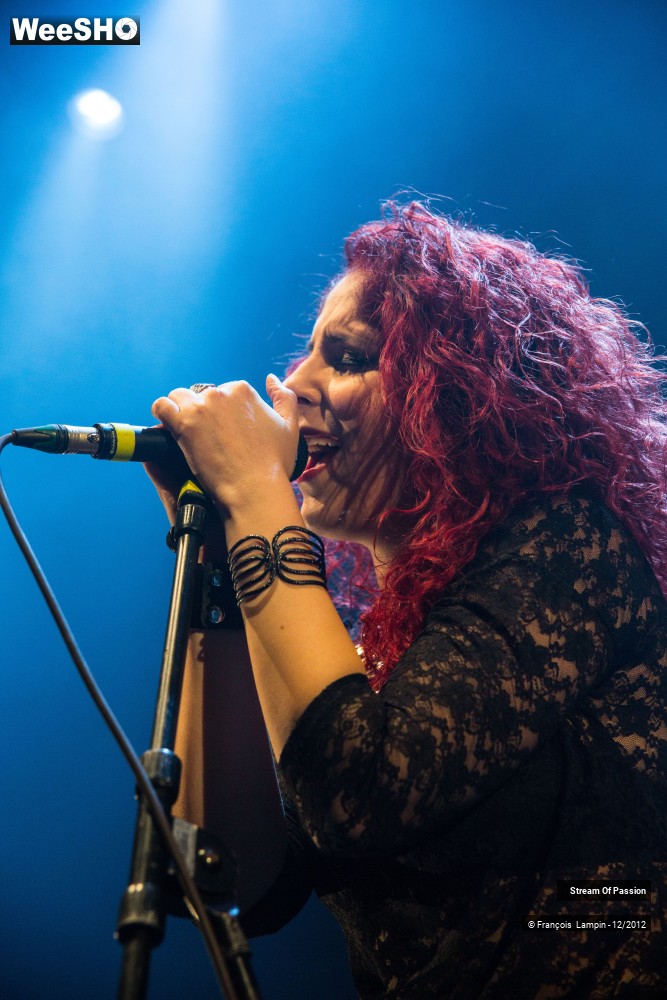 25/28 photos du spectacle Stream Of Passion