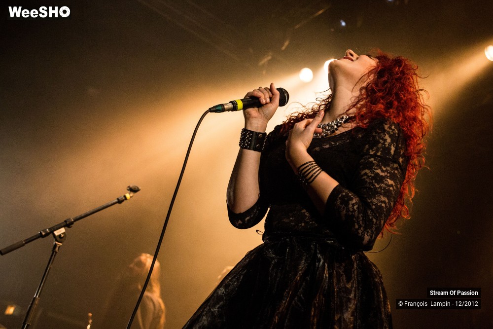 27/28 photos du spectacle Stream Of Passion