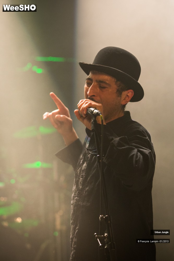 1/32 photos du spectacle Urban Jungle