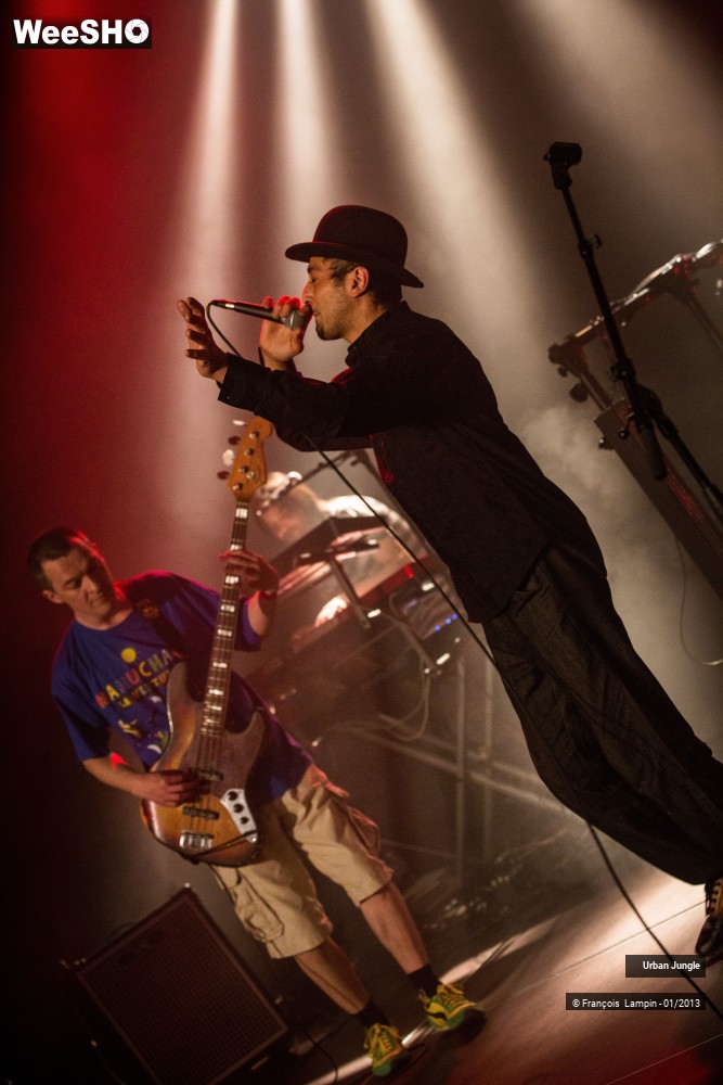 2/32 photos du spectacle Urban Jungle