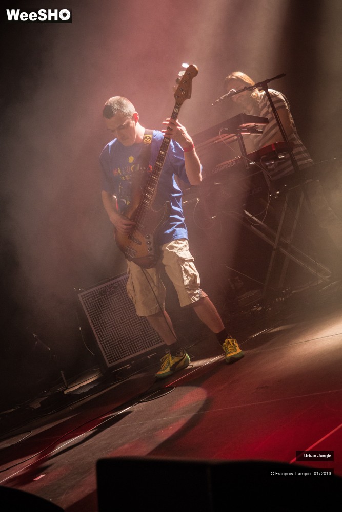 5/32 photos du spectacle Urban Jungle