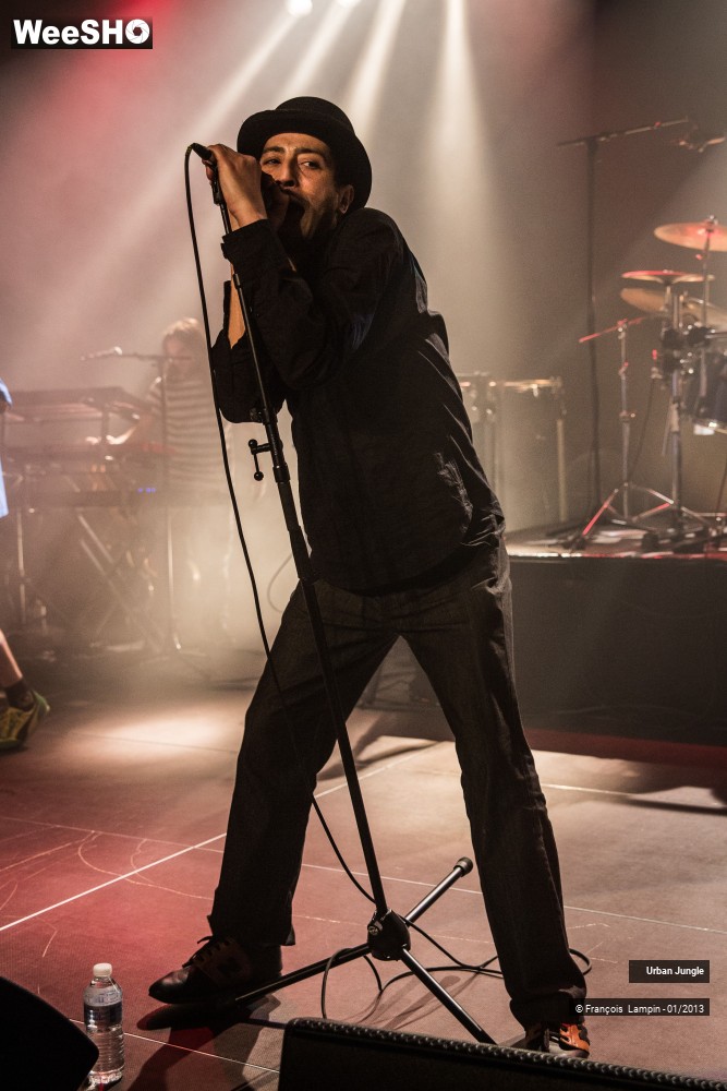 6/32 photos du spectacle Urban Jungle