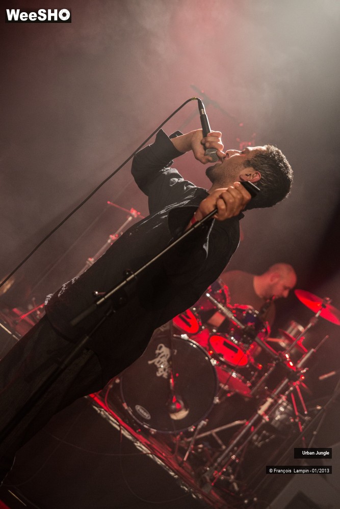 7/32 photos du spectacle Urban Jungle