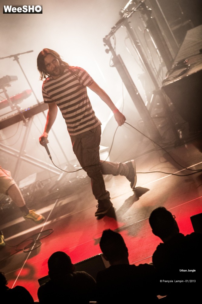 8/32 photos du spectacle Urban Jungle