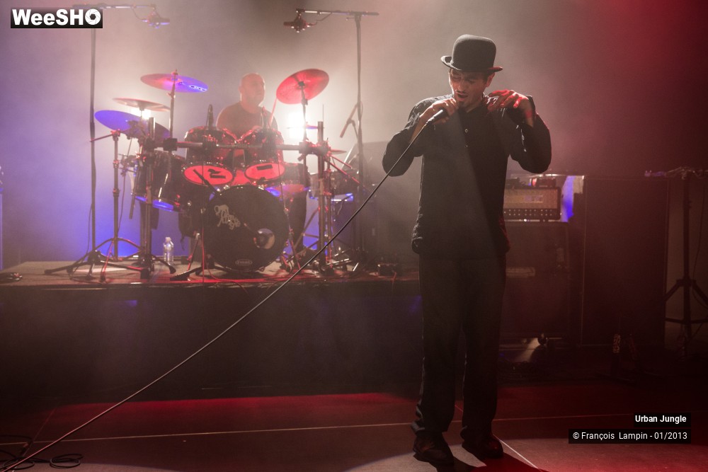 9/32 photos du spectacle Urban Jungle