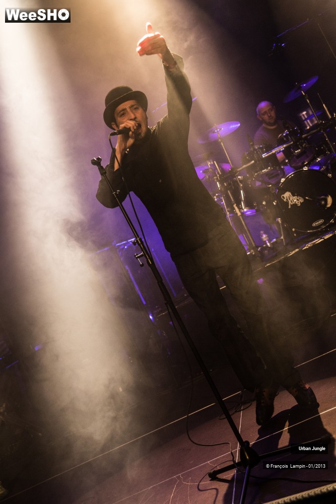 10/32 photos du spectacle Urban Jungle