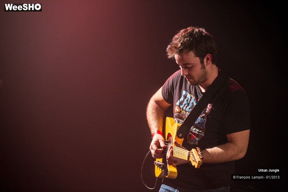 12/32 photos du spectacle Urban Jungle