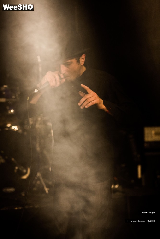 13/32 photos du spectacle Urban Jungle