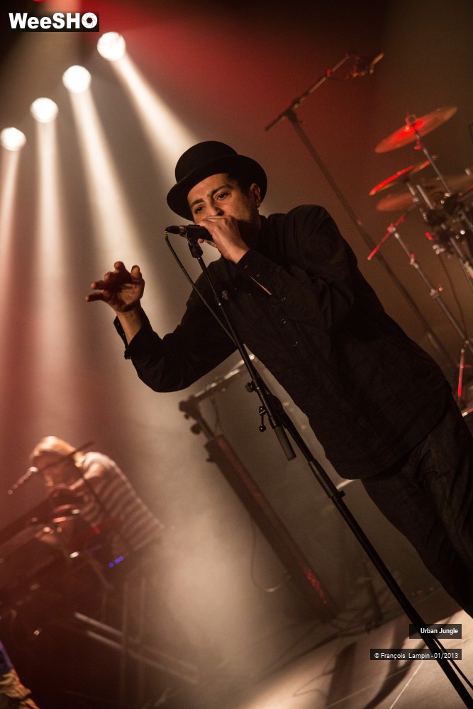 14/32 photos du spectacle Urban Jungle