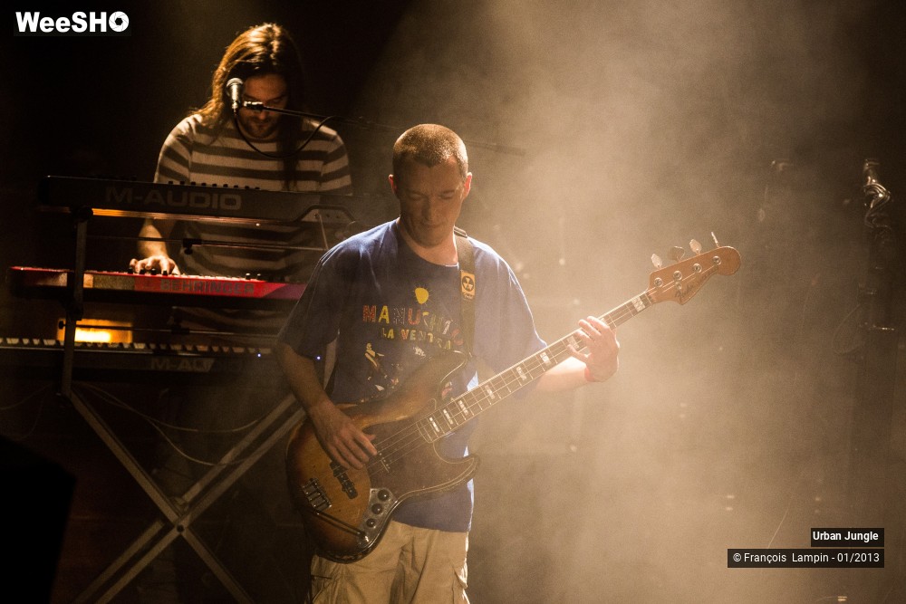 15/32 photos du spectacle Urban Jungle