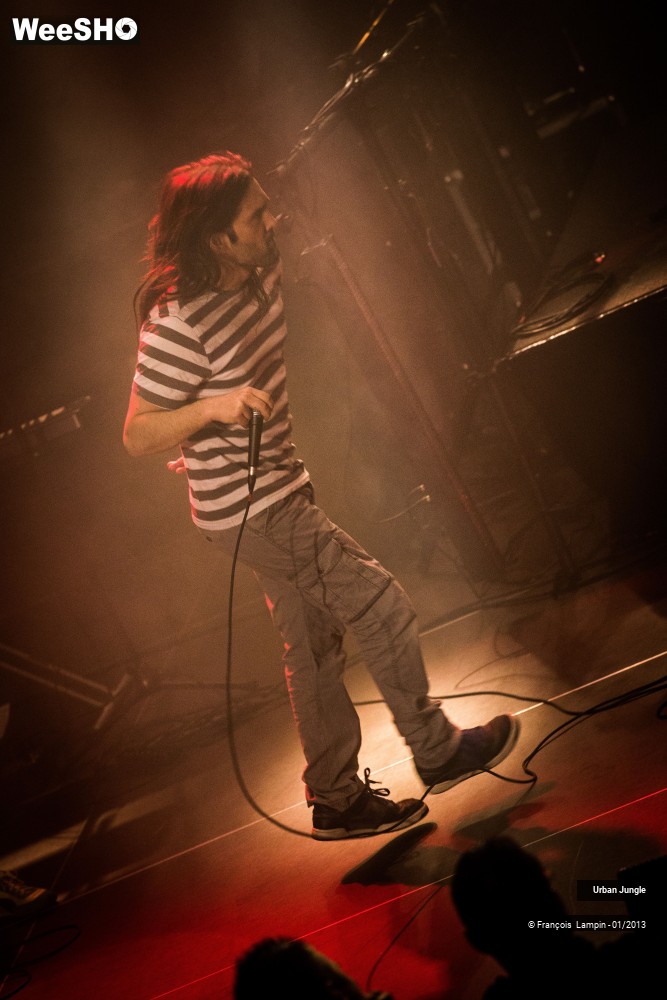 16/32 photos du spectacle Urban Jungle