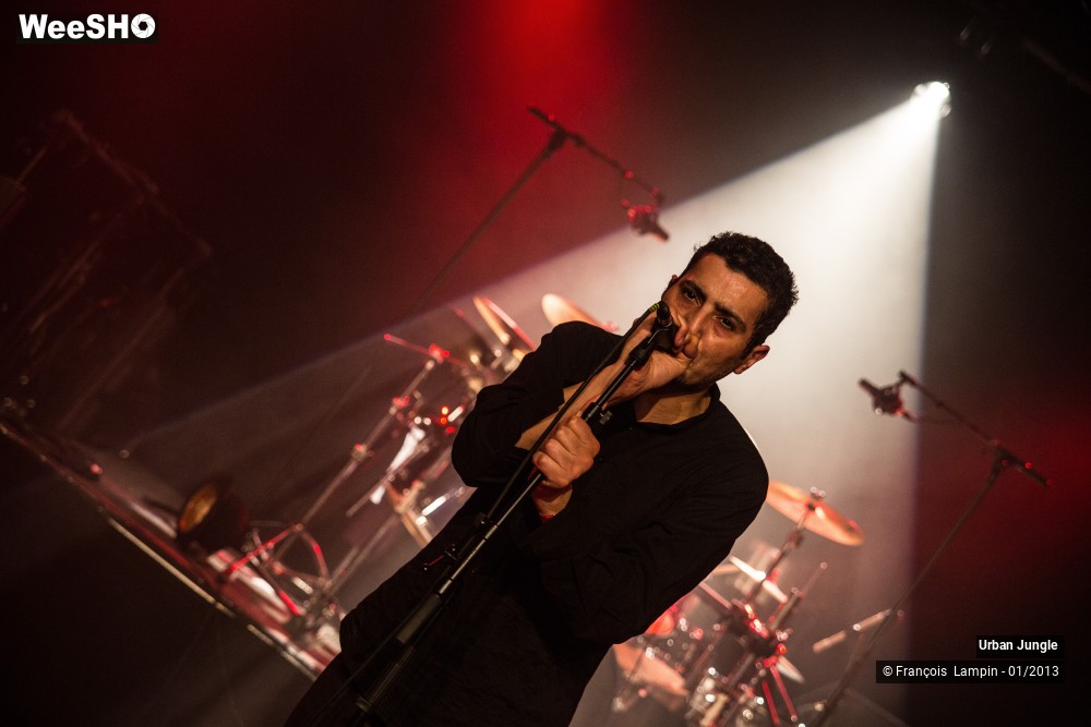 17/32 photos du spectacle Urban Jungle