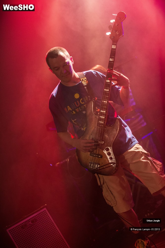 18/32 photos du spectacle Urban Jungle