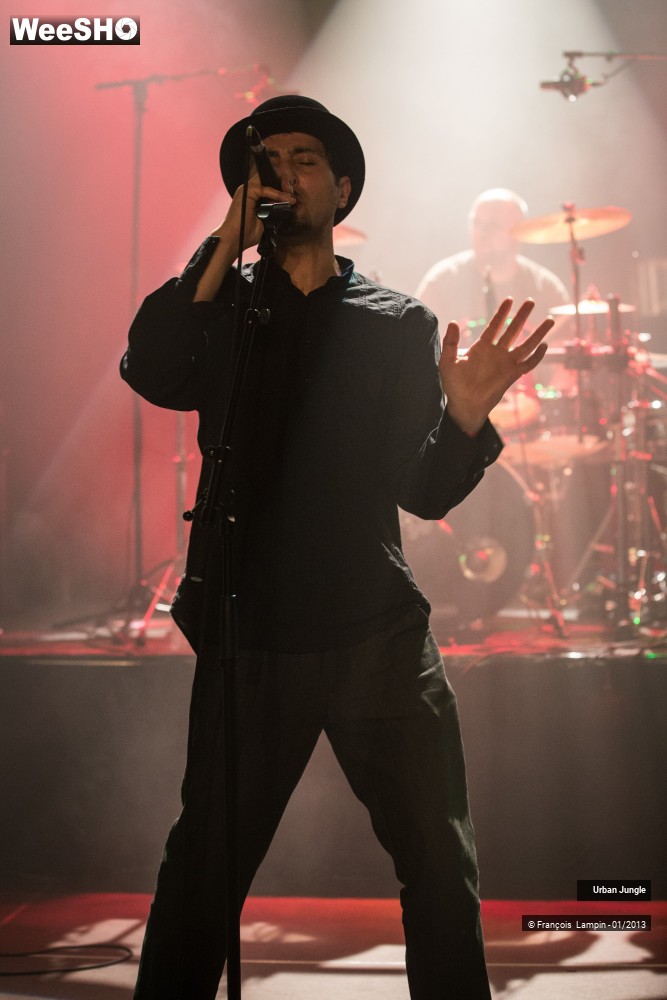 19/32 photos du spectacle Urban Jungle