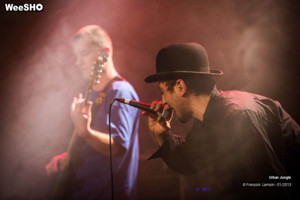 21/32 photos du spectacle Urban Jungle