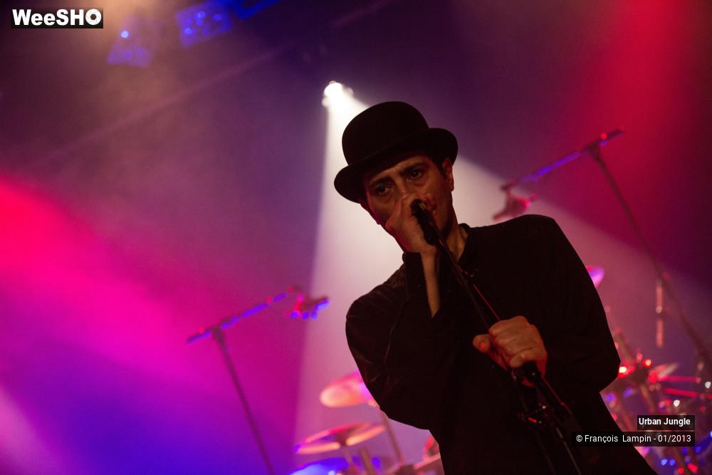 24/32 photos du spectacle Urban Jungle