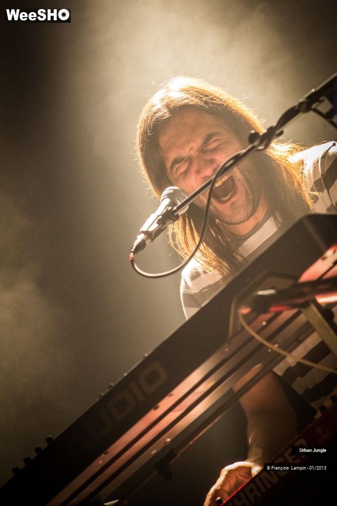 25/32 photos du spectacle Urban Jungle