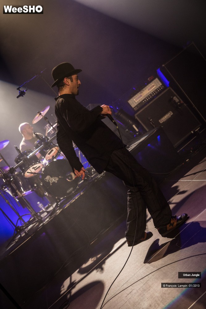 26/32 photos du spectacle Urban Jungle